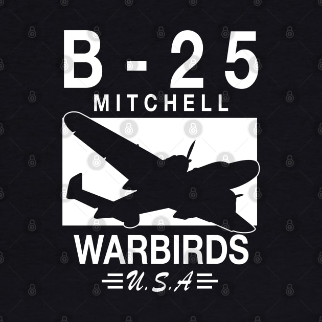 B-25 Mitchell by TCP